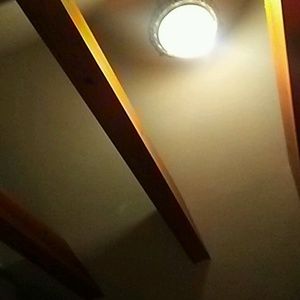 Meet your Posher, Ruthie